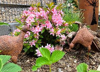 Ferien im Kühbergstadl in Bischofsmais