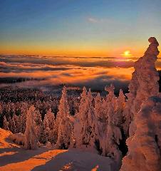 Ferien im Kühbergstadl in Bischofsmais