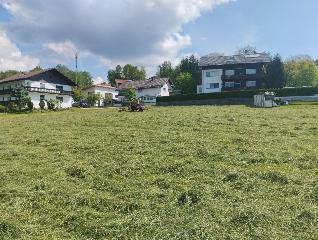 Ferienhof Kagerbauer in Langdorf
