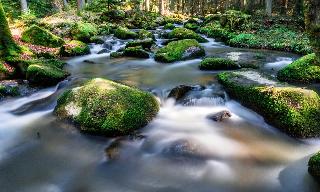 Natur- Wohlfühlhotel Brunner Hof OHG in Arnschwang