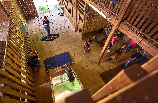 Kinderparadies + Bio-Bauernhof in Schönberg