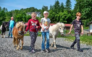 Kinderparadies + Bio-Bauernhof in Schönberg