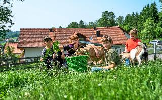 Kinderparadies + Bio-Bauernhof in Schönberg