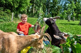 Kinderparadies + Bio-Bauernhof in Schönberg