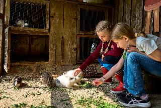 Kinderparadies + Bio-Bauernhof in Schönberg