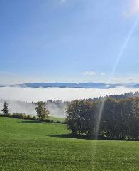 Ferienwohnung Goldfasan in Lam