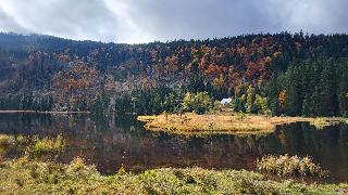 Ferienwohnung Osser Woid in Lohberg