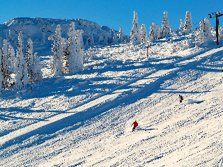 Bayerische Gastwirtschaft Dimpfl-Stadl in Lam