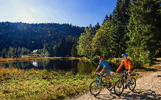 Bayerische Gastwirtschaft Dimpfl-Stadl in Lam