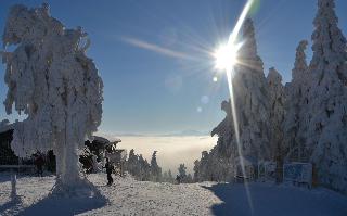 Ferienwohnung Hohenbogen in Neukirchen beim Heiligen Blut