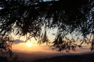 Ferienhof Kagerbauer in Langdorf