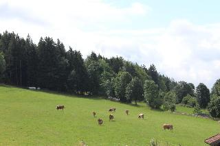 Ferienhof Kagerbauer in Langdorf