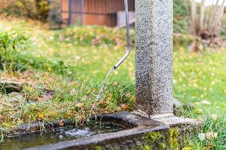 Waldzeit am Silberberg in Bodenmais