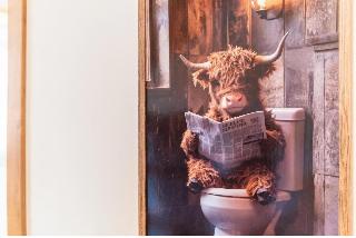 Waldzeit am Silberberg in Bodenmais