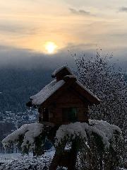 Ferienwohnungen-Riedl in Lam