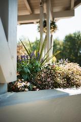 App.-Haus zur Europa-Therme in Bad Füssing