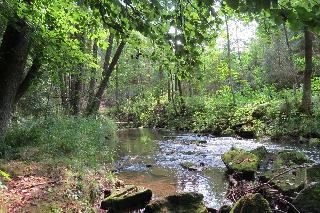 Büchelsteiner Hof in Grattersdorf