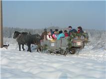 Reiterhof Mühlbauer in Grattersdorf