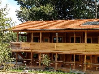 Reiterhof Mühlbauer in Grattersdorf