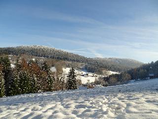 Ferienwohnung Lindenhof in Sankt Englmar