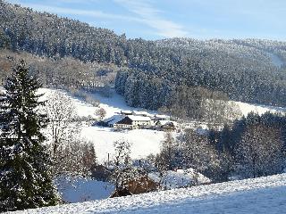 Ferienwohnung Lindenhof in Sankt Englmar