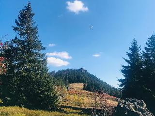 Ferienwohnung Do Blym in Lohberg