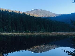 Ferienwohnung Do Blym in Lohberg