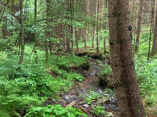 Ferienwohnung Do Blym in Lohberg