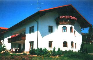 Woidpanorama in Neuschönau