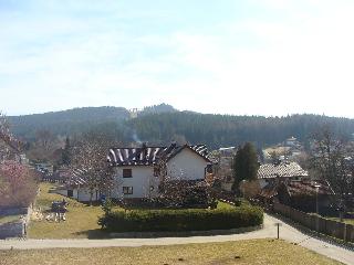 Drei Tannen in Bodenmais