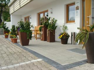 Drei Tannen in Bodenmais