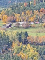 Landhof Steinhütte in Bayerisch Eisenstein