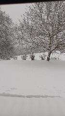 Landhof Steinhütte in Bayerisch Eisenstein