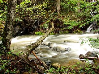 Hotel-Gasthof Zur Post in Freyung