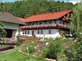 Ferienhaus Panoramablick  in Geiersthal