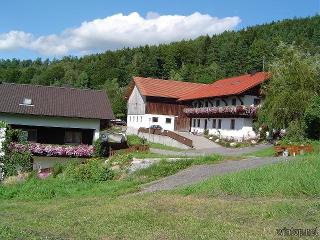 Ferienhaus Panoramablick  in Geiersthal