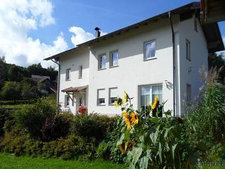 Ferienwohnung Holzapfel in Kollnburg