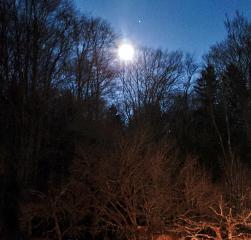 Ferienwohnung Seidl in Waffenbrunn