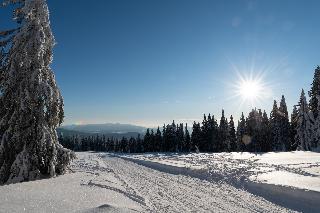 Haus Roman in Bodenmais