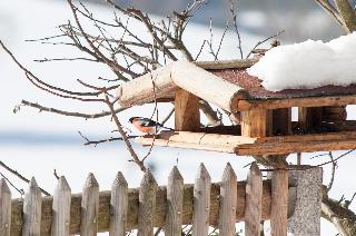 Haus Roman in Bodenmais