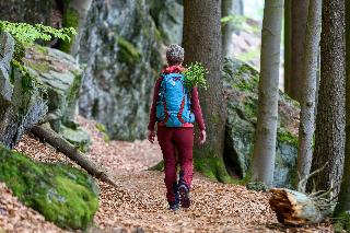 Haus Roman in Bodenmais