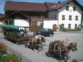 Ferienhof Kroner in Rinchnach