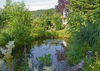 Cafe Pension Sonnenkanzel in Züntersbach/Bad Brückenau