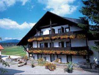 Hotel zum Friedl in Riedlhütte