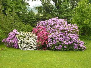 Ferienhaus Ainsen in Bad Füssing