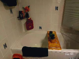 Eisvogelnest Appartments in Sankt Englmar 