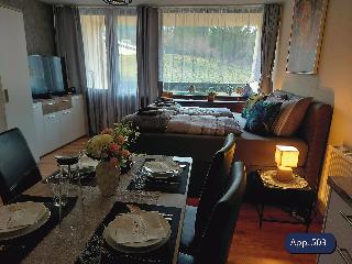 Eisvogelnest Appartments in Sankt Englmar 