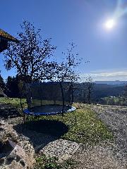 Ferienhof Schauer in Drachselsried