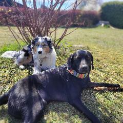 Ferienhaus Die Schmugglerhütte in Grafenau
