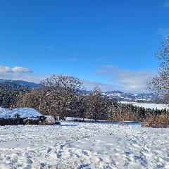 Ferienhaus Die Schmugglerhütte in Grafenau